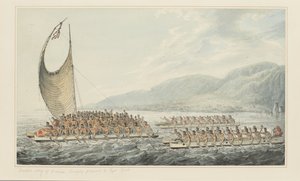35: Tereoboo, Owyheen kuningas, tuo lahjoja kapteeni Cookille vesivärisarjasta, joka kuvaa kapteeni Cookin viimeistä matkaa, n. 1773-1784 (akvarelli paperille) tekijältä John Webber