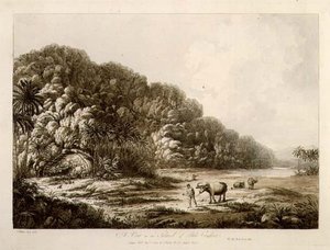 Näkymä Pulo Condorin saarella, pubista Näkymät Etelämerellä. 1792 (etsaus) tekijältä John Webber