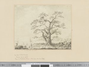 F.44 Näkymä meren rannalla, suuri puu keskellä, n. 1783-84 tekijältä John Webber
