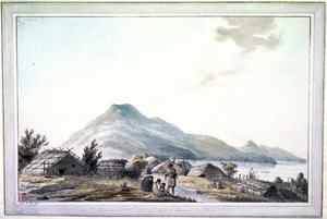 Hippah, Uusi-Seelanti tekijältä John Webber