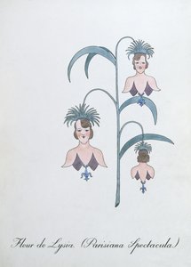 Fleur de Lysia (Parisiana Spectacula.), kuvitus John Weirin teoksesta "The Bogus Book of Botany"