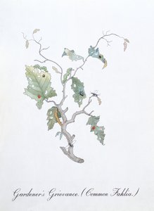 Gardener