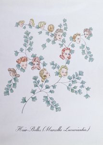 Hair-Belles (Marcella Luxuriantia), kuvitus John Weirin teoksesta "The Bogus Book of Botany"