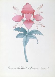 Rakkaus ranteessa (Donum Amoris.) kuvitus John Weirin teoksesta The Bogus Book of Botany