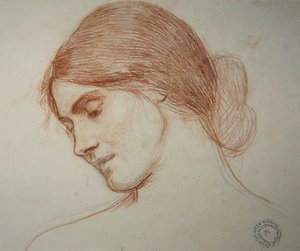 Nuoren tytön pää vasemmalla tekijältä John William Waterhouse