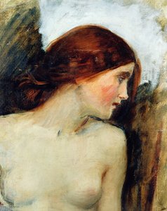 Huonekalut ja erilaiset esineet 1100- ja 1300-luvuilta tekijältä John William Waterhouse