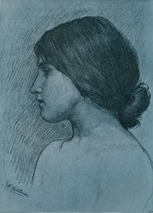 Study of a Head, c1899 tekijältä John William Waterhouse