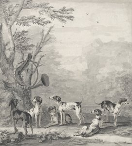 Hounds in a Landscape (grafiitti, kynä, ruskea muste ja harmaa pesuaine) tekijältä John Wootton