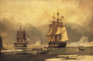 "Joutsen" ja "Isabella" valaanpyynti arktisella alueella, tekijältä John of Hull Ward
