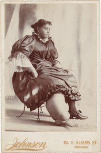 Naisen muotokuva,c. 1890 (kuva) tekijältä Johnson