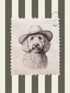 Goldendoodle-cowboyhattu