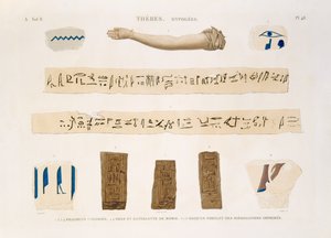 Kuvia hieroglyfikirjoista ja muumion käsivarresta Thebesta, Hypogees, levy 48 julkaisun "Descriptions of Egypt" osasta II, kaiverrettu Charles, 1822 (akvatinta) tekijältä Jomard