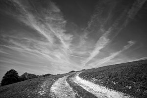 Goodwood Estate West Sussexissa, Iso-Britannia, 2019 (kuva) tekijältä Jon Nicholson