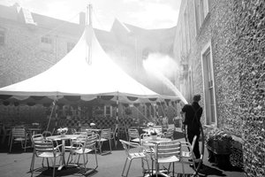 Goodwood Estate West Sussexissa, Iso-Britannia, 2019 (kuva) tekijältä Jon Nicholson