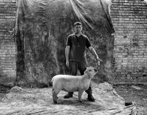 Goodwood Estate West Sussexissa, Iso-Britannia, 2019 (kuva) tekijältä Jon Nicholson