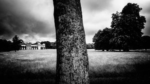 Goodwood Estate West Sussexissa, Iso-Britannia, 2020 (kuva)
