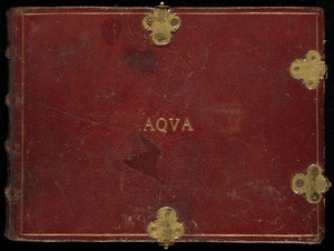 Animalia Aqvatilia et Conchiliata (Aqva), osa III tekijältä Joris Hoefnagel
