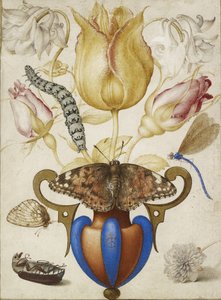 Kukka-asetelma maljakossa, hyönteisten kanssa, 1594 (Akvarelli kullalla perunakalvolla) tekijältä Joris Hoefnagel