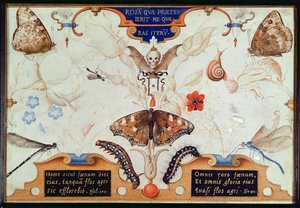 Diptyykki, jossa kukkia ja hyönteisiä, 1591 (taulussa marouflage ja pergamentti) tekijältä Joris Hoefnagel