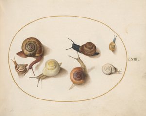 Etana, n. 1575-80
