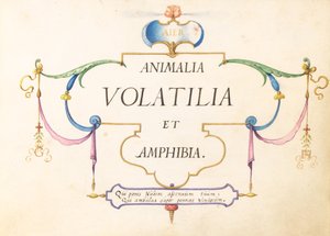 Nimilehti tekijältä Joris Hoefnagel