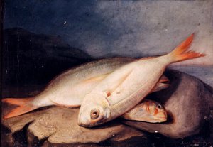 Espanja: Bodegón de peces tekijältä José Arias Ramírez