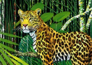 Eläimet: Leopard 1