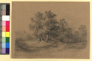Metsämaisema tekijältä Josef Kriehuber