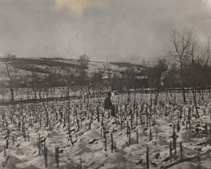 Albumi "Oma maailmansota - muistoja Lounaisrintamasta Kärntenissä, Italiassa, Trentino-Alto Adigessa) 31.3.1915-12.11.1918 - Josef Zohles Wien": sotilaallinen hautausmaa (b/w kuva tekijältä Josef Zohles
