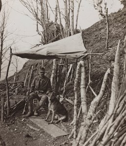 Albumi "Oma maailmansota - muistoja Lounaisrintamasta Kärntenissä, Italiassa, Trentino-Alto Adigessa) 31.03.1915-12.11.1918 - Josef Zohles Wien": sotilaskoira teltan alla ( tekijältä Josef Zohles