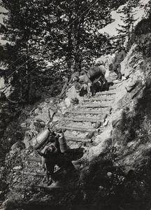 Albumi "Oma maailmansota - muistoja lounaisrintamasta Kärntenissä, Italiassa, Trentino-Alto Adigessa) 31.3.1915-12.11.1918 - Josef Zohles Wien": Armeijan muulit jyrkkää rantaa pitkin tekijältä Josef Zohles