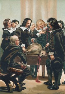 William Harvey esittelee verenkiertoa tekijältä Josep or Jose Planella Coromina