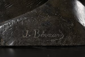Yksityiskohta pään kanssa jalohaikara tekijältä Joseph Bernard