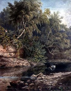 Woodland Scene, hämmästyneen haikaran kanssa