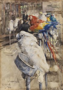 Lintutarha, Clifton tekijältä Joseph Crawhall
