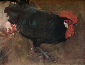 Musta kukko, c1894