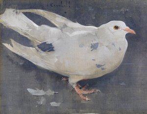 Kyyhkynen (guassi pellavalle) tekijältä Joseph Crawhall