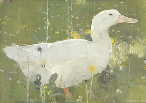The White Drake (guassi kankaalle)