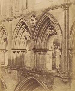 Rievaulxin luostari. Triforium Arches, 1850