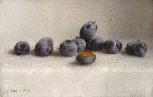 Kaksitoista luumua, 1896