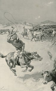 Nautakarjaa Queenslandissa tekijältä Joseph Finnemore