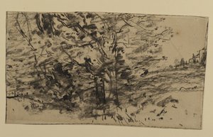 Study of Trees, 1870 (grafiitti paperille)