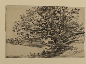 Study of Trees, 1870 (grafiitti paperille)