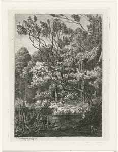 metsänäkymä tekijältä Joseph Hartogensis