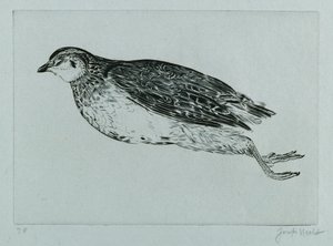 Dead Partridge (La Perdrix) (kaiverrus) tekijältä Joseph Hecht