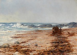 Kelp kerääminen (öljy kankaalle)
