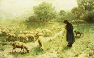Shepherd