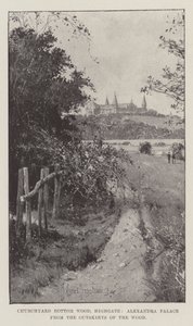 Churchyard Bottom Wood, Highgate, Alexandra Palace metsän laidalta katsottuna. tekijältä Joseph Holland Tringham