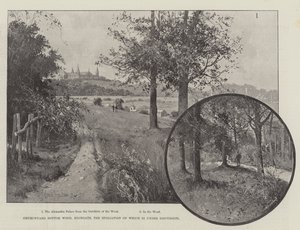 Churchyard Bottom Wood, Highgate, jonka tuhoamisesta keskustellaan tekijältä Joseph Holland Tringham