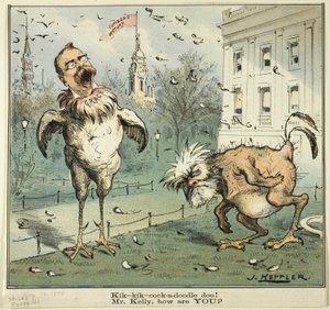 Kik-kik-cock-a-doodle doo! Herra Kelly, miten voitte, Puckilta! tekijältä Joseph Keppler